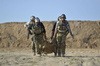 Direct Action - Nosze Taktyczne Combat Stretcher - Adaptive Green - PO-CSTR-NLN-AGR