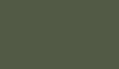 FOSCO - Tarnfarbe - Nato Grün
