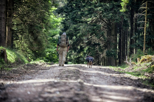 Helikon - SFU Next Hose - Adaptive Green - SP-SFN-PR-12