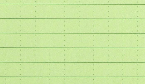 Rite in the Rain - Allwetter-Notizbuch - 3 1/4x5 1/4'' - 978 - Olive