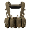 Direct Action - Hurricane Hybrid Chest Rig® - Cordura® - Ranger Grün - CR-HRCN-CD5-RGR