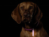 Ni-Glo - Key Ring Gear Marker - Polymer - Panther Pink - 91503