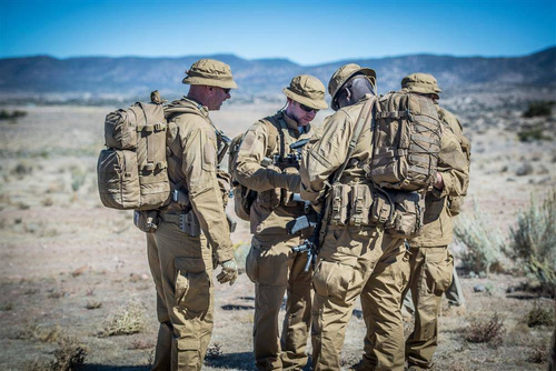 Helikon - Waschbär Mk2-Rucksack - 20 L - OD Grün - PL-RC2-CD-02