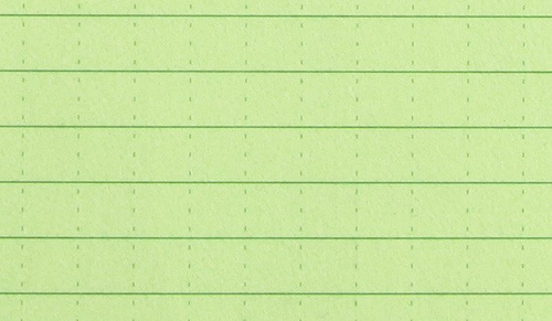 Rite in the Rain - Allwetter-Notizbuch - 3 1/4x4 5/8'' -971FX-M-Olive