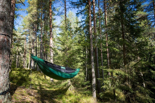 Ticket To The Moon - Hamak Pro - Forest Green - TMPRO51