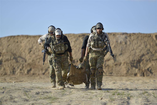 Direct Action - Combat Stretcher® Tactical Stretcher - Coyote Brown - PO-CSTR-NLN-CBR