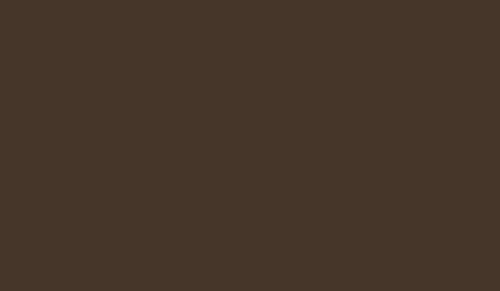 FOSCO - Tarnfarbe RAL 8027 - Schlammbraun