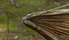 Lesovik - Ridge Line SMUK - Olive