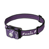 Fenix - Headlamp HL12R V2.0 - 500 lm - USB-C - IP66 - Purple - HL12R.18112